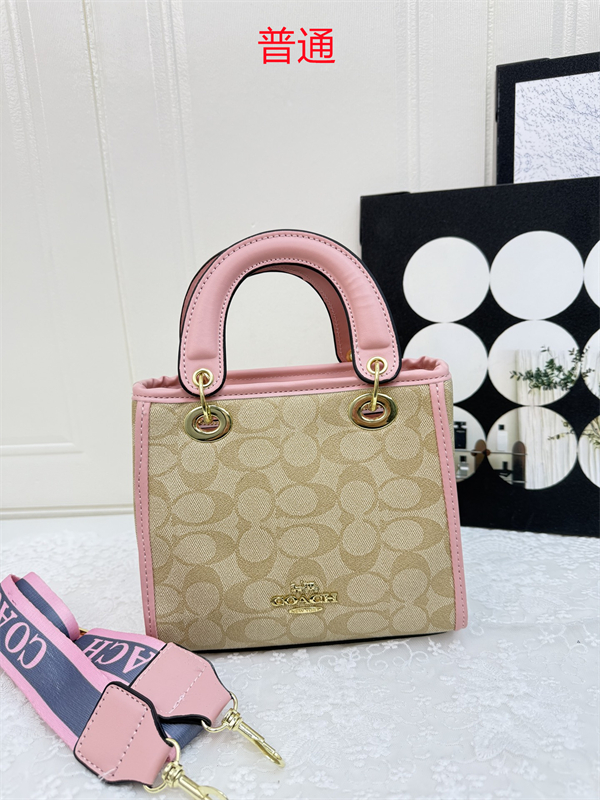 Coach small bag-0395