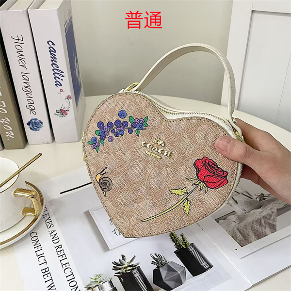 Coach small bag-0414