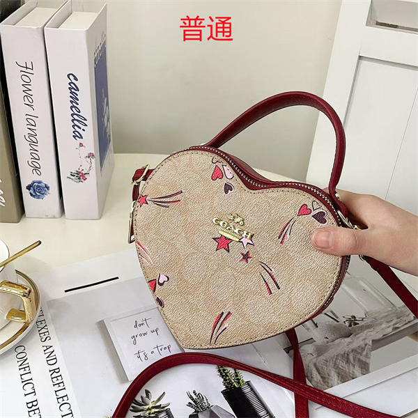 Coach small bag-0421