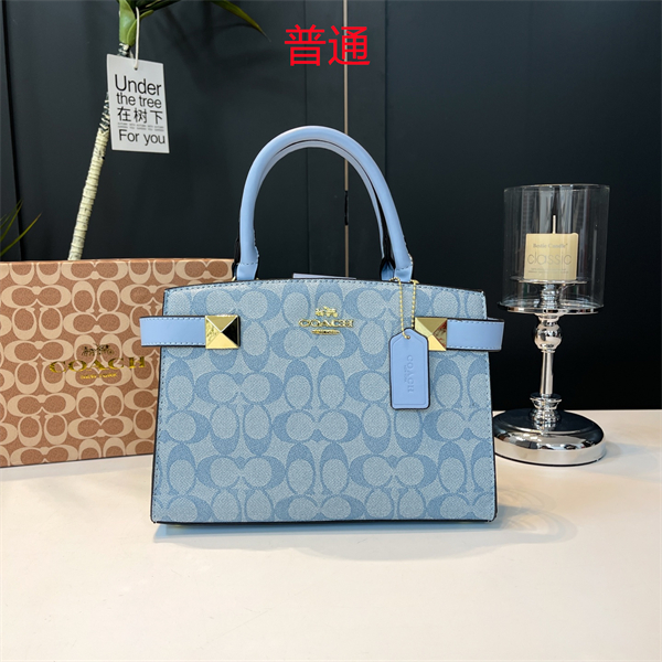 Coach small bag-0435