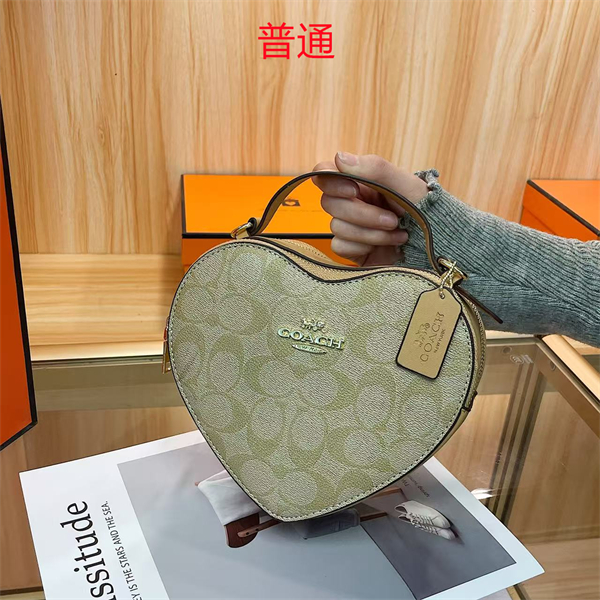 Coach small bag-0446