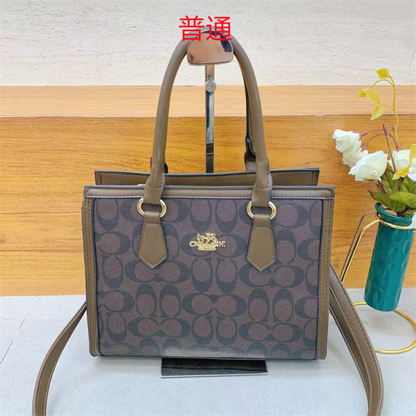 Coach small bag-0452