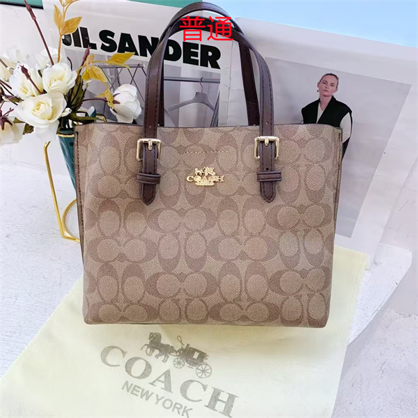 Coach small bag-0455
