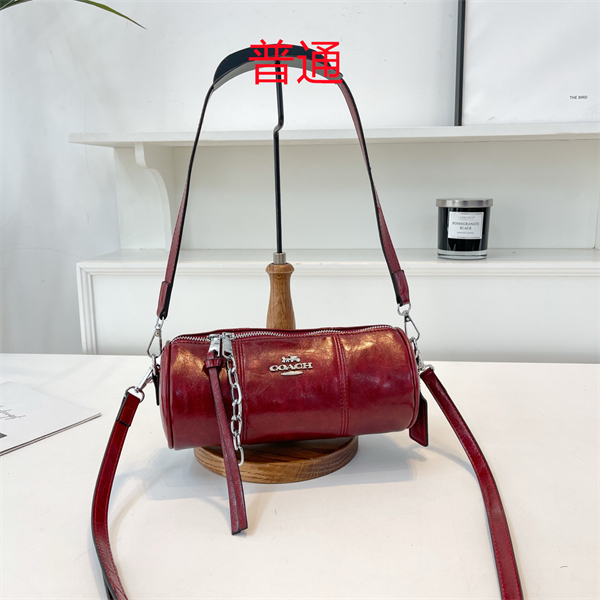 Coach small bag-0465