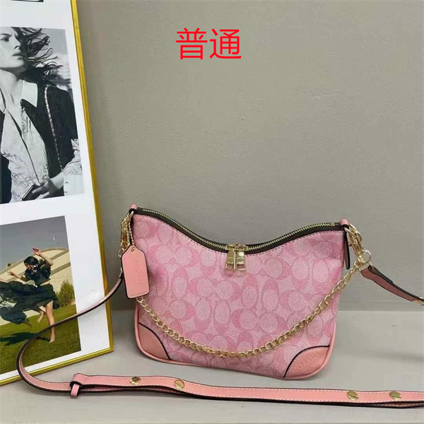 Coach small bag-0476