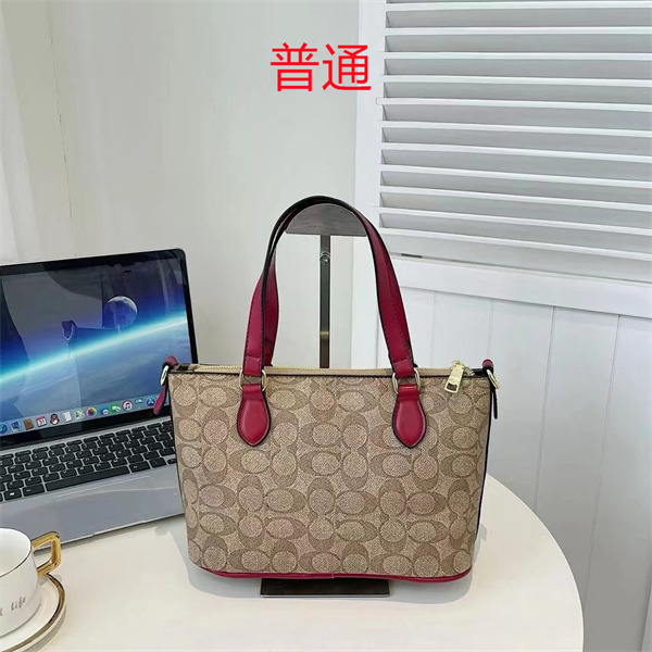 Coach small bag-0480