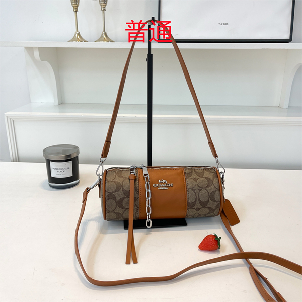 Coach small bag-0505