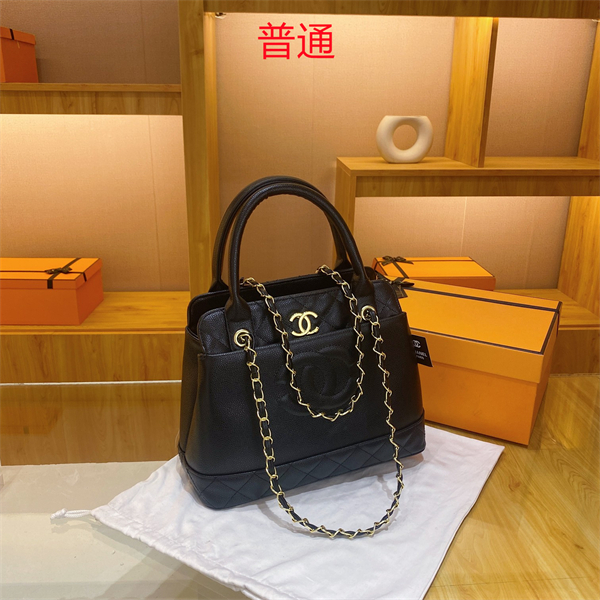 Chanel bag-0237