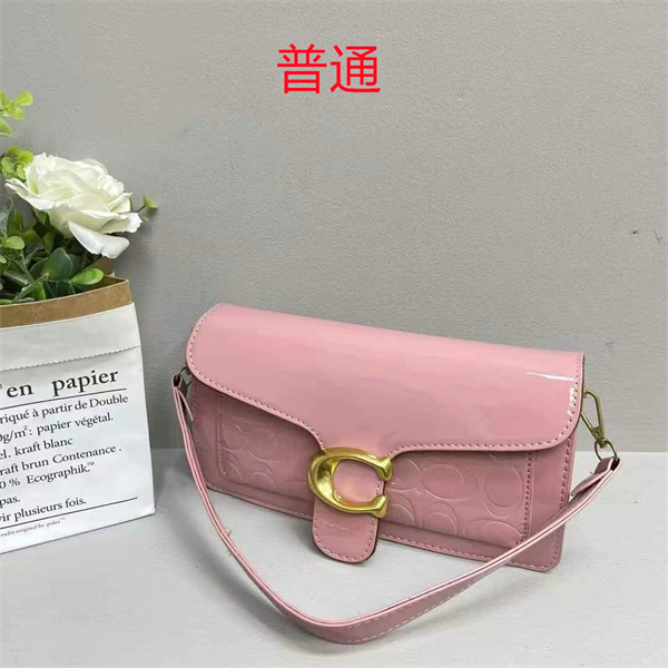 Coach small bag-0534