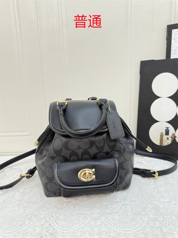 Coach small bag-0568