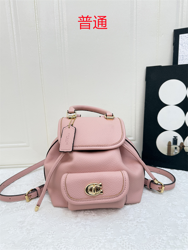 Coach small bag-0572