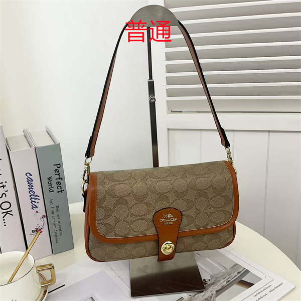 Coach small bag-0576