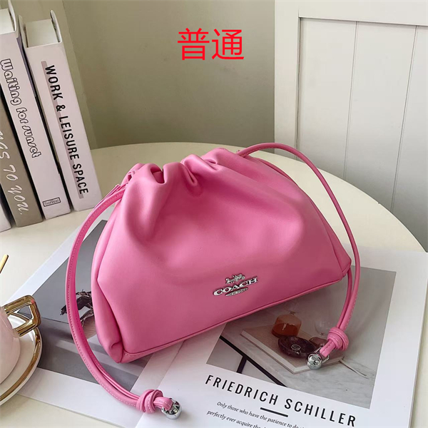 Coach small bag-0583