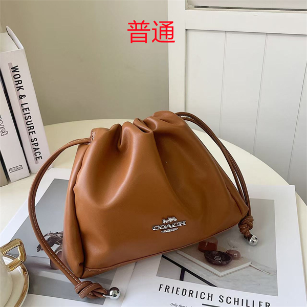 Coach small bag-0584