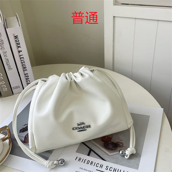 Coach small bag-0588