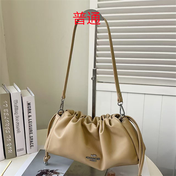 Coach small bag-0589