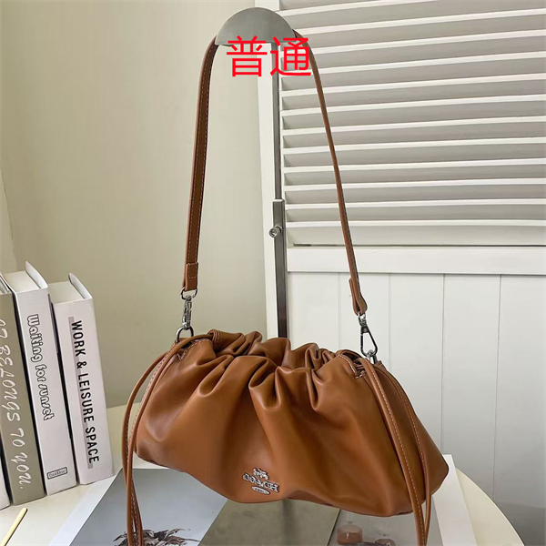 Coach small bag-0595