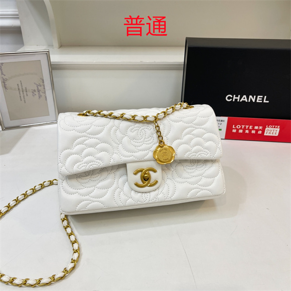 Chanel bag-0318