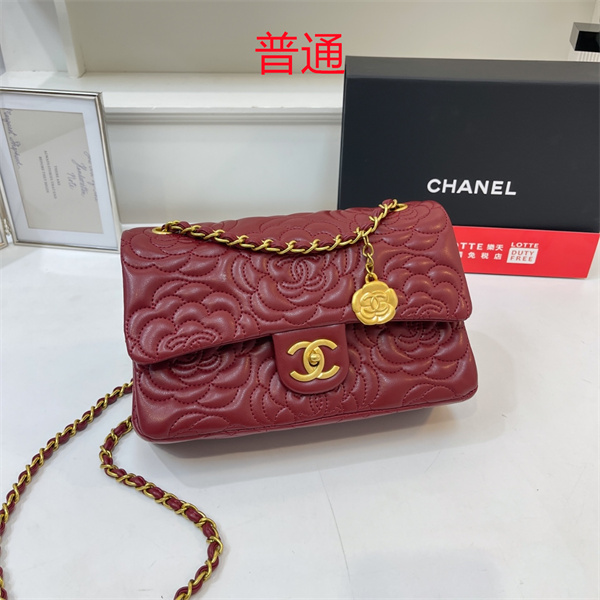 Chanel bag-0319