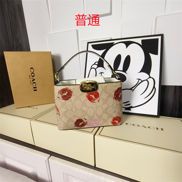 Coach small bag-0605