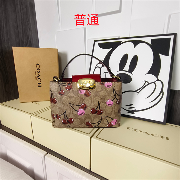 Coach small bag-0606