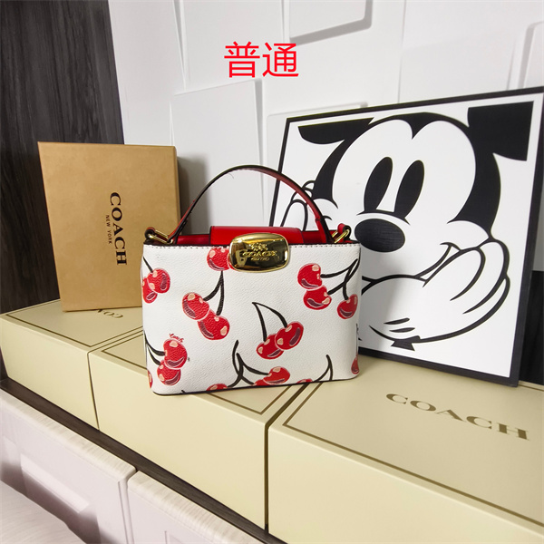 Coach small bag-0608