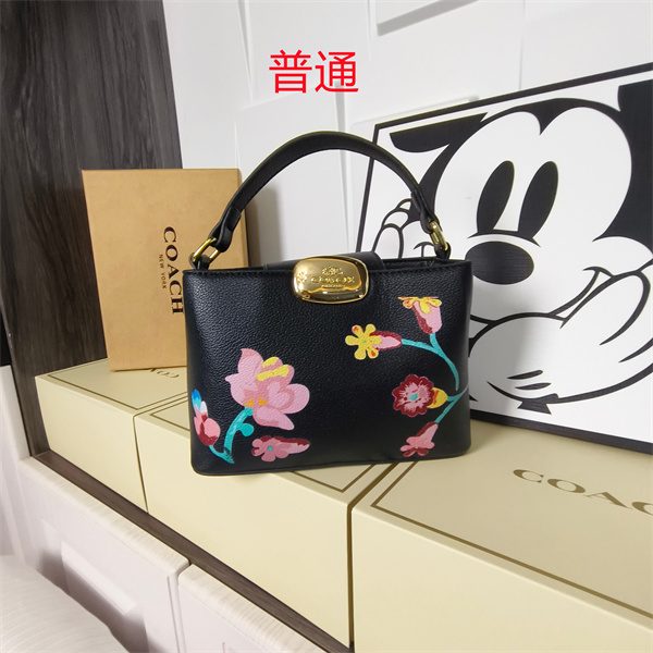 Coach small bag-0609