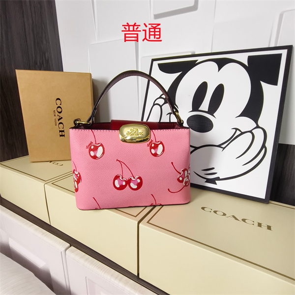 Coach small bag-0611