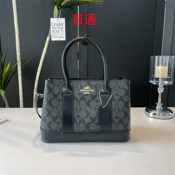 Coach small bag-0653