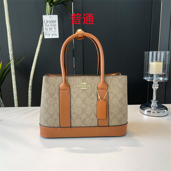 Coach small bag-0654