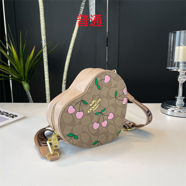 Coach small bag-0659