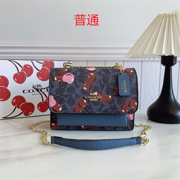 Coach small bag-0694