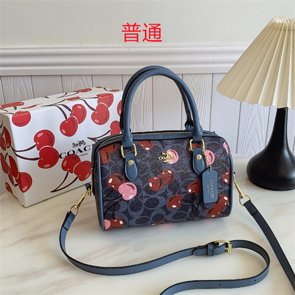 Coach small bag-0696