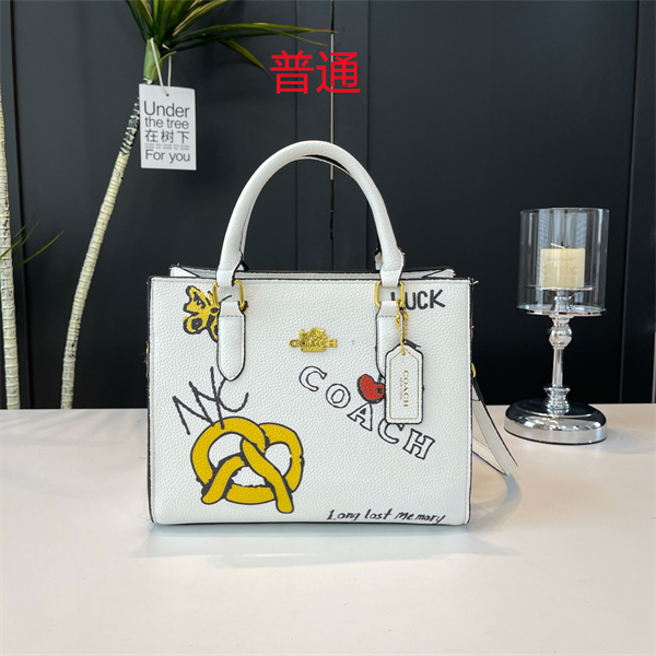 Coach small bag-0704