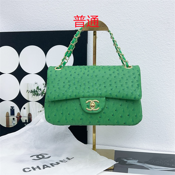 Chanel small bag-0353