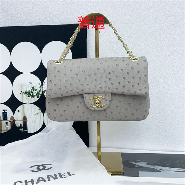 Chanel small bag-0354