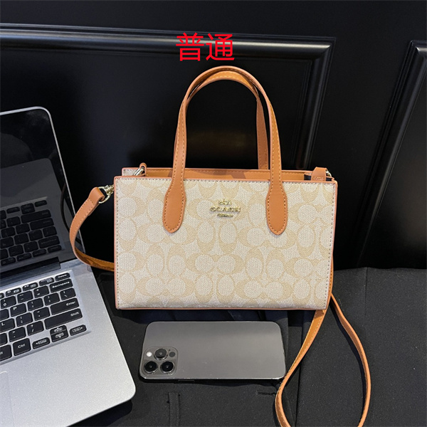 Coach small bag-0733