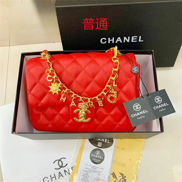 Chanel small bag-0391