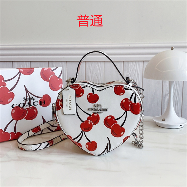 Coach small bag-0757