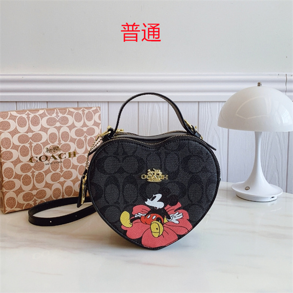 Coach small bag-0761
