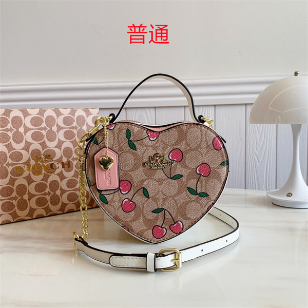 Coach small bag-0766