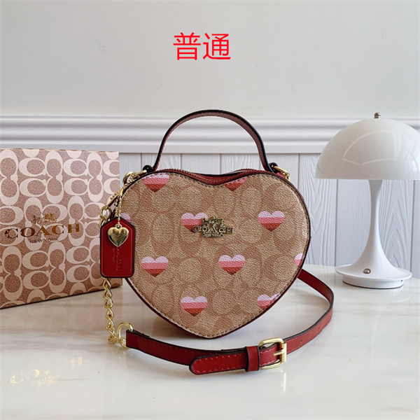 Coach small bag-0774