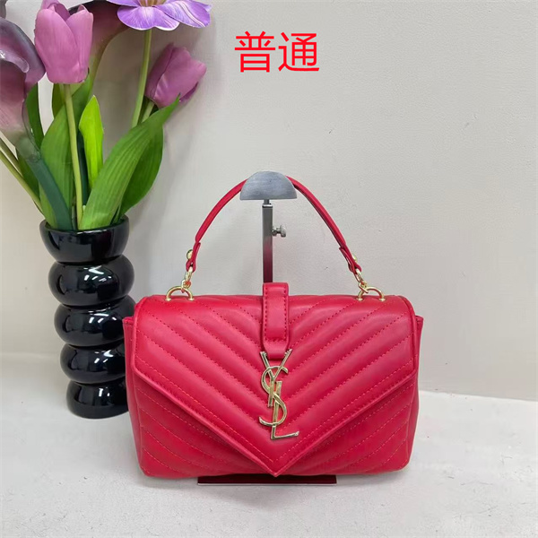 YSL small bag-0472
