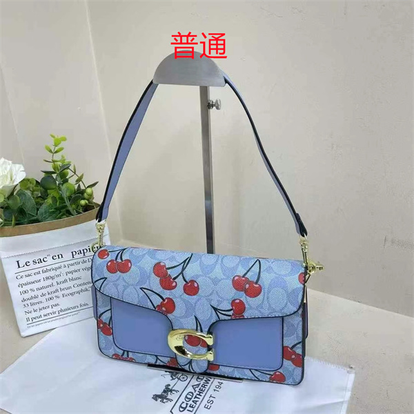 Coach small bag-0787