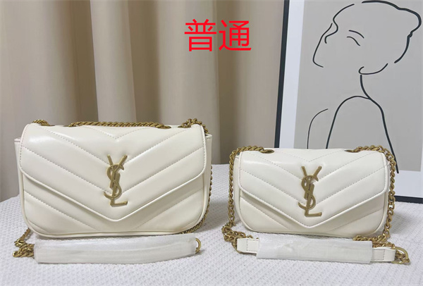 YSL small bag-0474