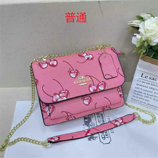 Coach small bag-0798