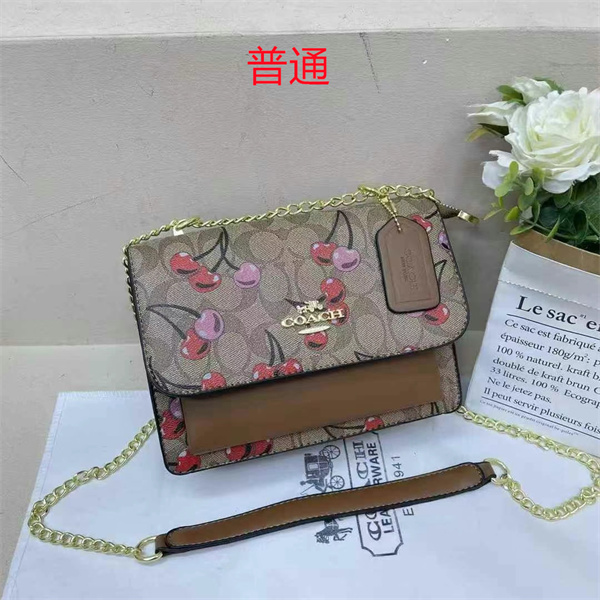 Coach small bag-0799