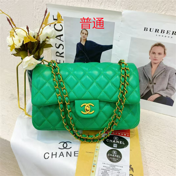 Chanel small bag-0437