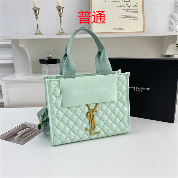 YSL small bag-0495
