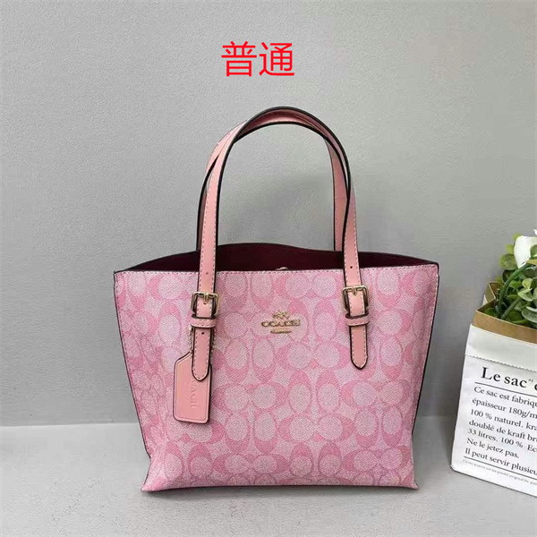 Coach small bag-0830
